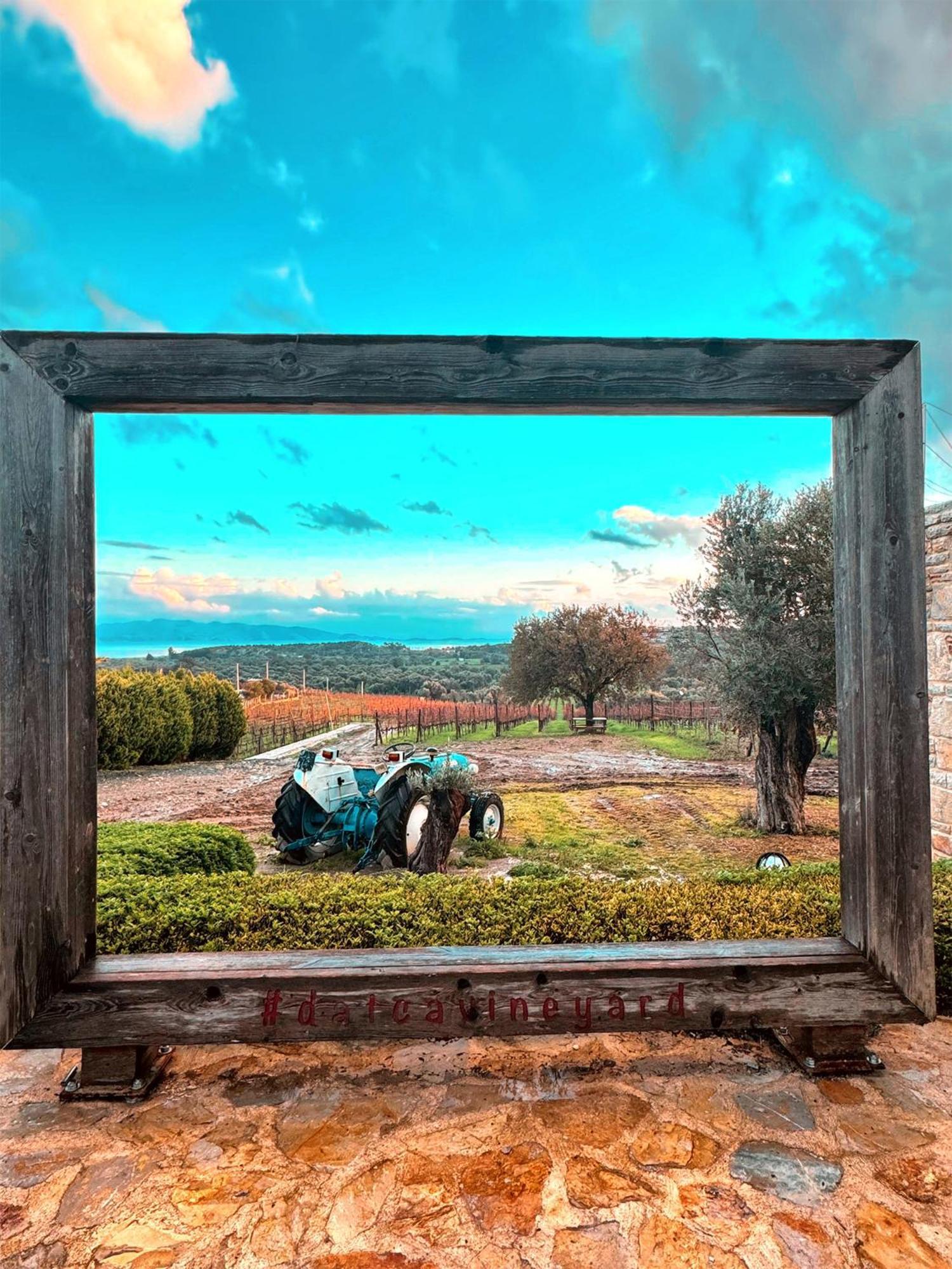 Datca Vineyard Guesthouse - Over 14 Years Old Only Exterior photo
