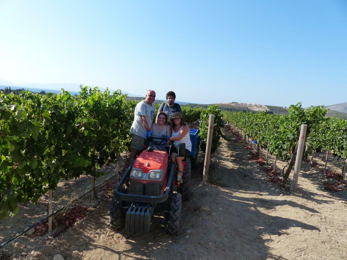 Datca Vineyard Guesthouse Exterior photo