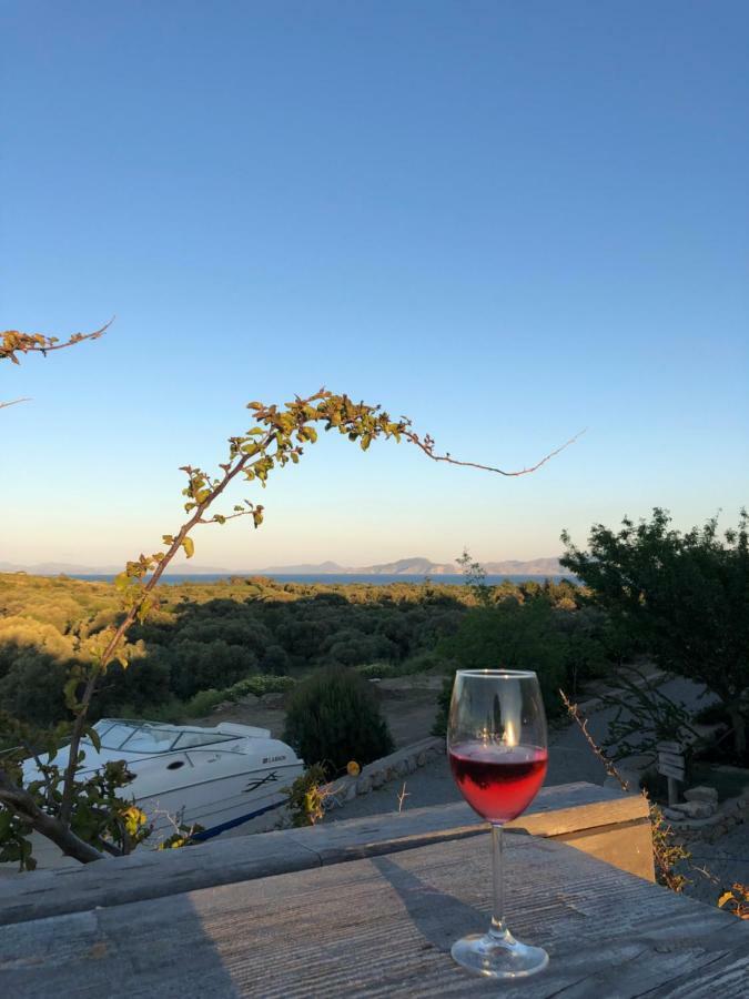 Datca Vineyard Guesthouse - Over 14 Years Old Only Exterior photo